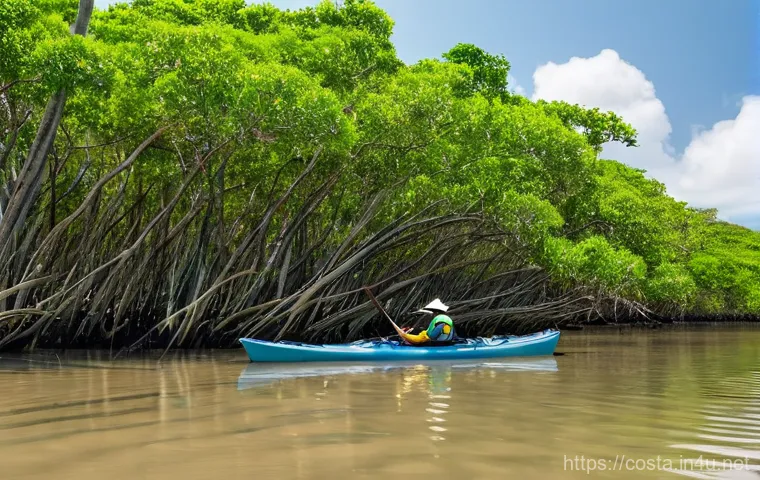코스타리카 열대우림 보존 프로젝트 - **Community Reforestation and Agroforestry**: A diverse group of people, including local Costa Rican...