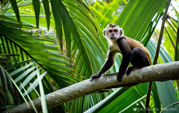 코스타리카 영화 촬영지 탐방 - **Dynamic Zip-lining through Monteverde Cloud Forest:** A thrilling, action-packed image of a person...